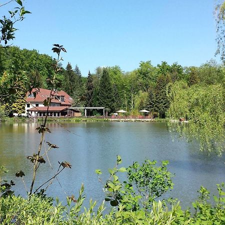 Waldhotel Zur Holzmuhle Eldagsen 外观 照片