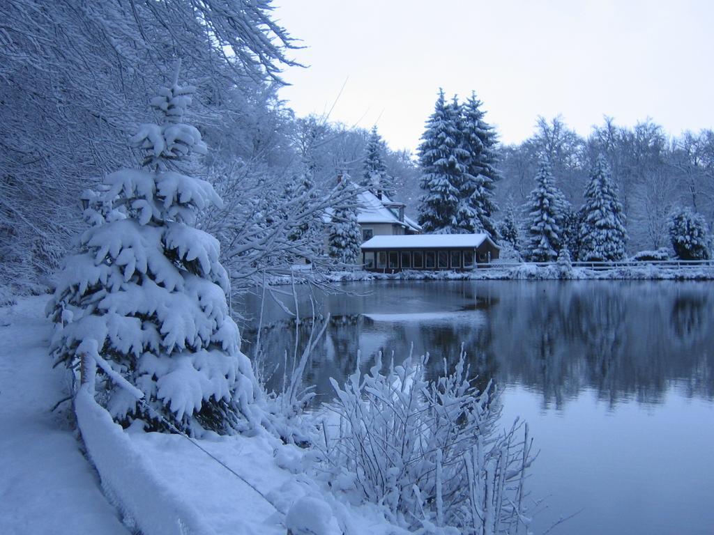Waldhotel Zur Holzmuhle Eldagsen 外观 照片