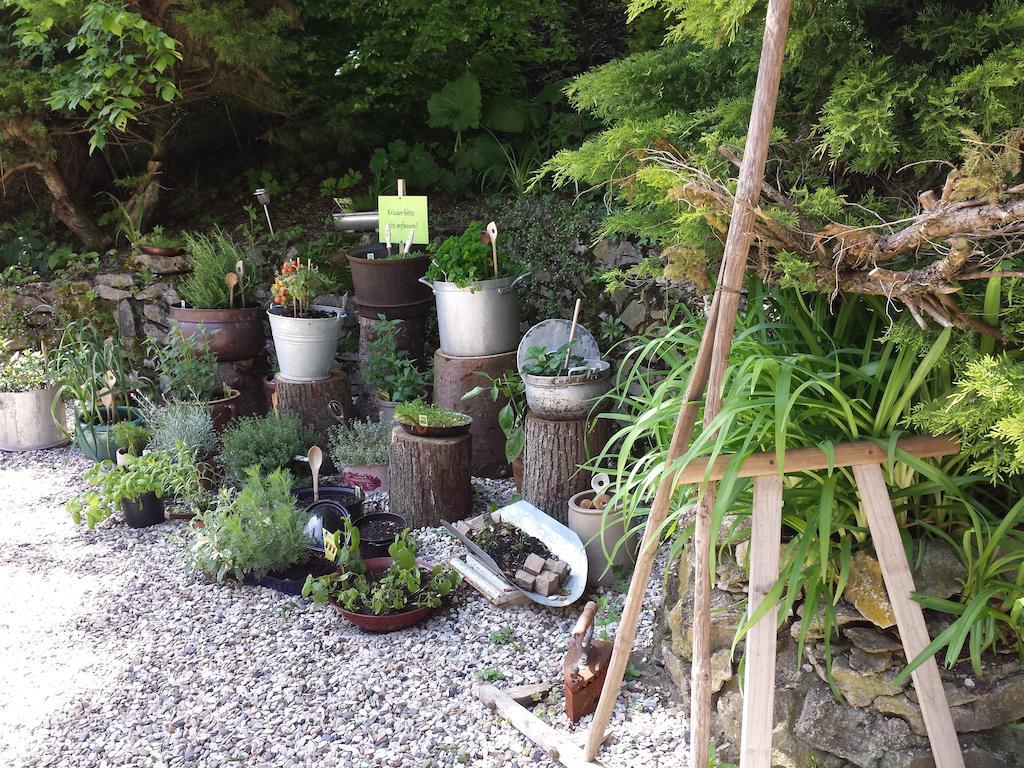 Waldhotel Zur Holzmuhle Eldagsen 外观 照片