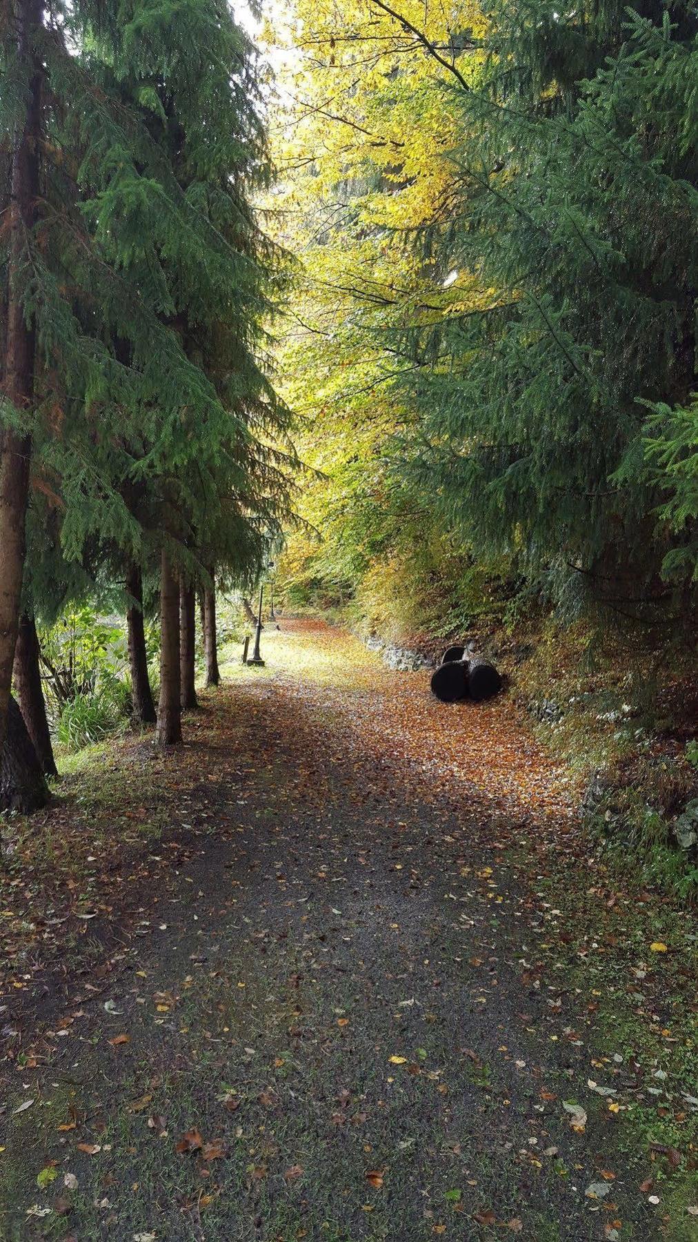 Waldhotel Zur Holzmuhle Eldagsen 外观 照片